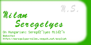 milan seregelyes business card